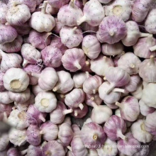 4.5cm 6.5cm  Ajo Chino Rojo Garlic Fresh Vegetables Garlic  Normal White Manufacturer Garlic